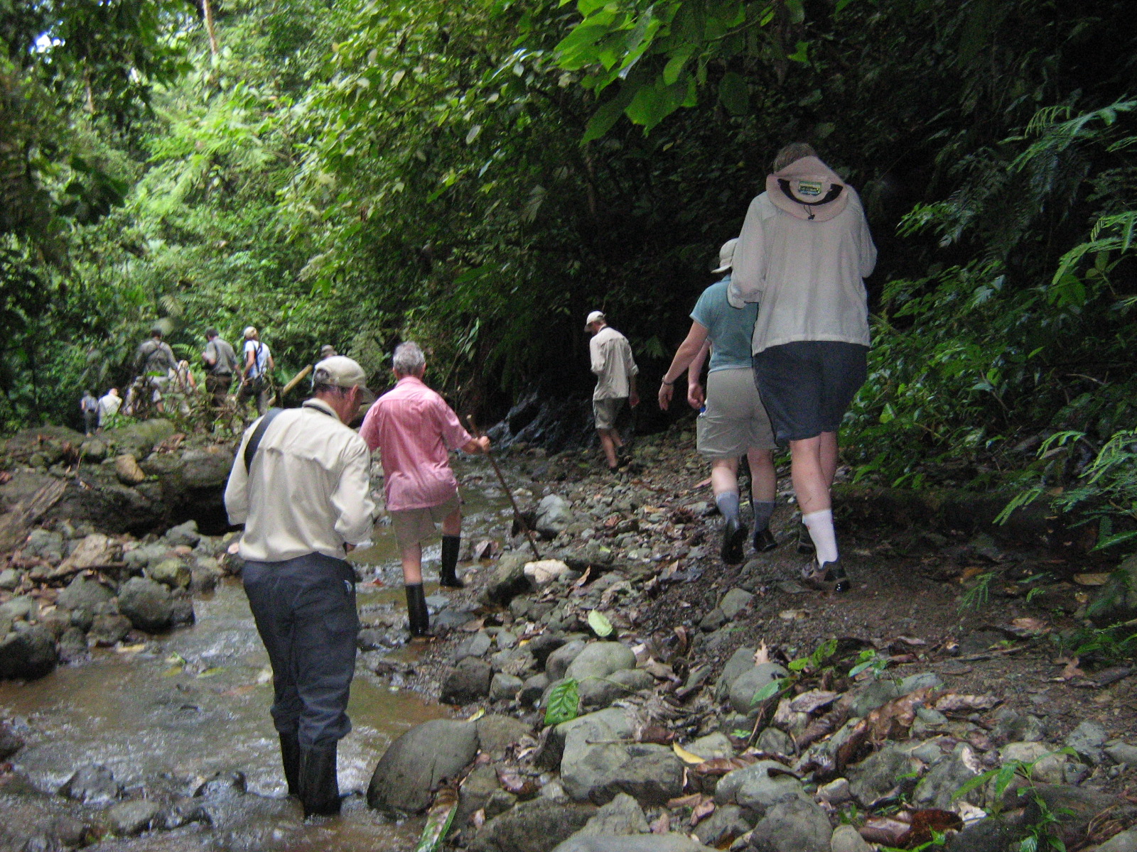 Hiking the Rio Pizote