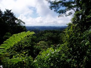 View of the east slope of the Osa Peninsula and the Golfo Dulce