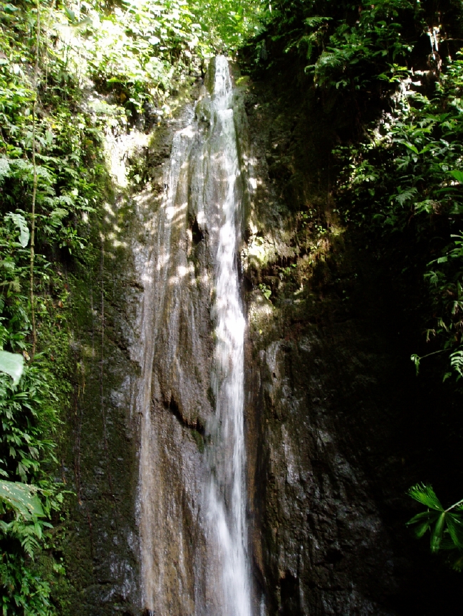 Our 50 foot waterfall